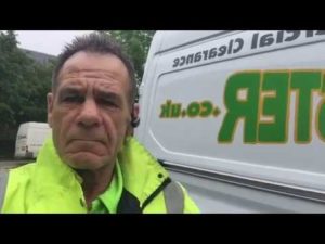 Removal of Ivy on Roof and Wall in East Calder